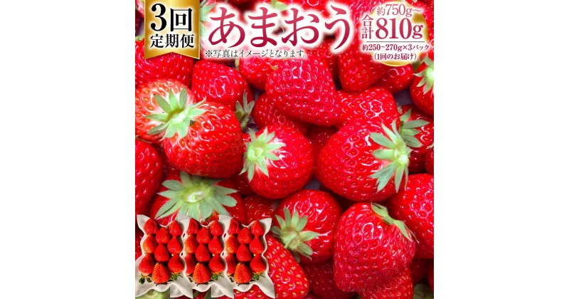 【ふるさと納税】【3回定期便】あまおう 約750～810g（約250～270g×3パック）×3回 合計約2250g～2430g あまおう G規格 いちご イチゴ 苺 ストロベリー ベリー フルーツ 果物 定期便 春 旬 九州 国産 福岡県産 送料無料【2025年1月下旬～3月下旬発送予定】