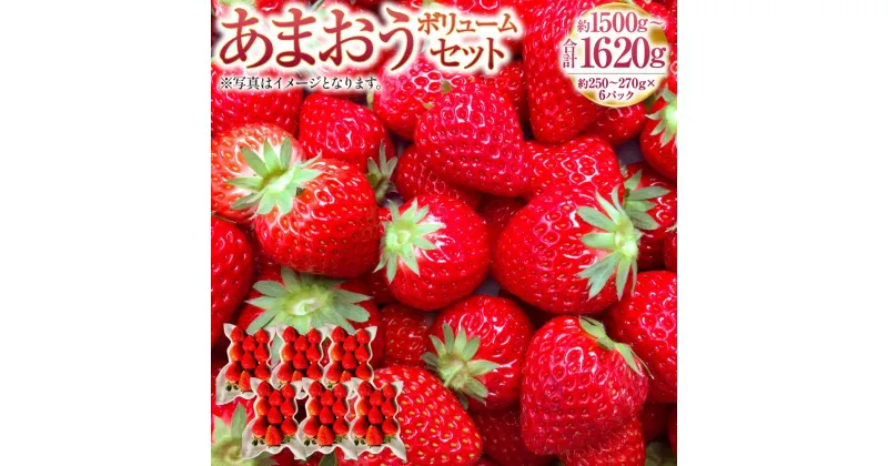 【ふるさと納税】あまおうボリュームセット 約250～270g×6パック 合計約1500～1620g あまおう G規格 いちご イチゴ 苺 ストロベリー ベリー フルーツ 果物 春 旬 九州 国産 福岡県産 送料無料【2025年2月上旬～4月上旬発送予定】