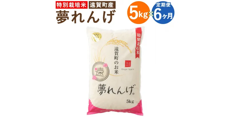 【ふるさと納税】【6ヶ月定期便】特別栽培米 夢れんげ 5kg×1袋 6回配送 合計30kg 定期便 夢つくし 元気つくし 精米 白米 お米 米 福岡 遠賀町産 九州産 国産 送料無料【2024年10月下旬発送開始】