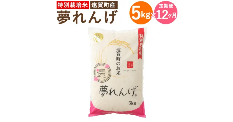 【ふるさと納税】【12ヶ月定期便】特別栽培米 夢れんげ 5kg×1袋 12回配送 合計60kg 定期便 夢つくし 元気つくし 精米 白米 お米 米 福岡 遠賀町産 九州産 国産 送料無料【2024年10月下旬発送開始】