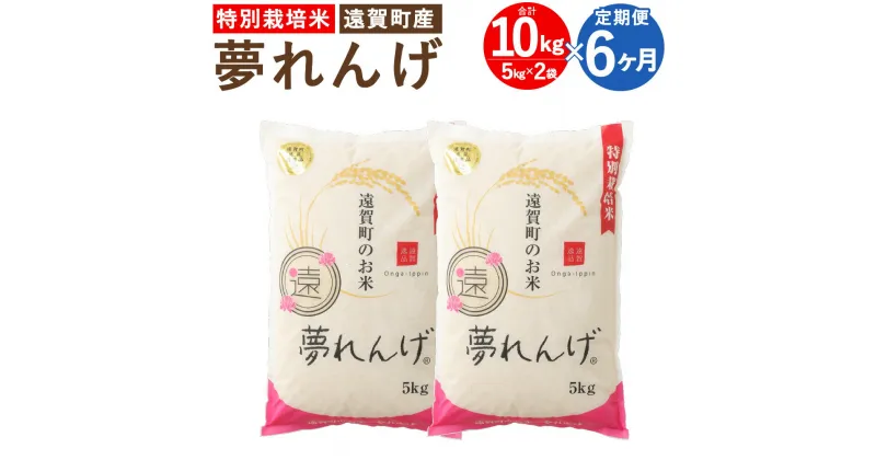 【ふるさと納税】【6ヶ月定期便】特別栽培米 夢れんげ 10kg 5kg×2袋 6回配送 合計60kg 定期便 夢つくし 元気つくし 精米 白米 お米 米 福岡 遠賀町産 九州産 国産 送料無料【2024年10月下旬発送開始】