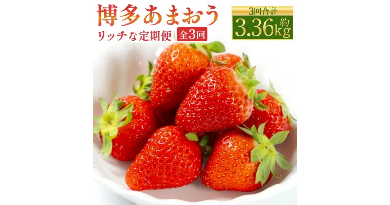 【ふるさと納税】博多 あまおう リッチな 3回 定期便 計3.36kg 計12パック あまおう いちご イチゴ 苺 ベリー 果物 くだもの フルーツ デザート おやつ お取り寄せ 冷蔵 国産 九州 福岡県 送料無料【2024年12月上旬～2025年2月下旬発送予定】