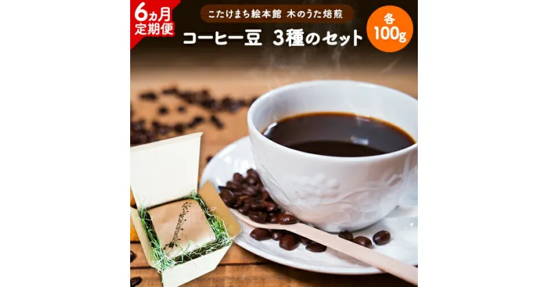 【ふるさと納税】【6ヶ月定期便】コーヒー豆3種のセット 各100g(豆) 計300g 旬のおすすめ豆 エチオピア・モカ オリジナルブレンド 送料無料 こたけまち絵本館木のうた《お申込み月の翌月から出荷開始》