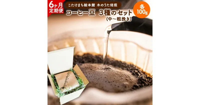 【ふるさと納税】【6ヶ月定期便】コーヒー豆3種のセット 各100g(中～粗挽き) 計300g 旬のおすすめ豆 エチオピア・モカ オリジナルブレンド 送料無料 こたけまち絵本館木のうた《お申込み月の翌月から出荷開始》