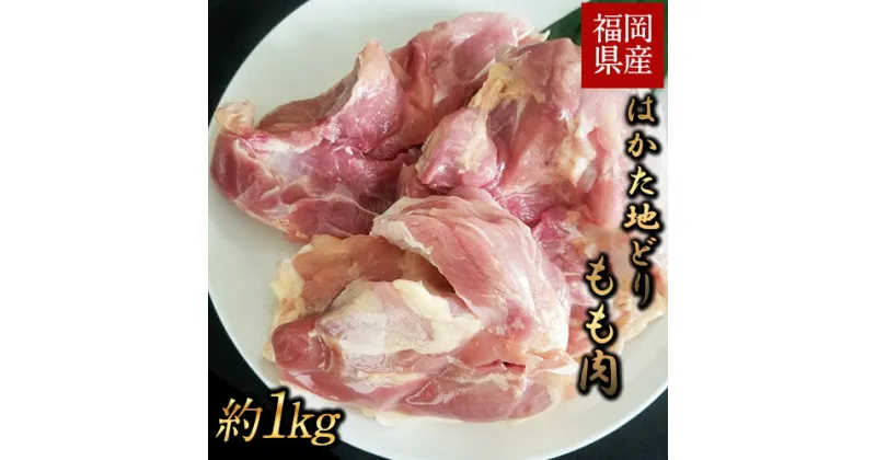 【ふるさと納税】はかた地どり もも肉(約1kg) 《30日以内に出荷予定(土日祝除く)》