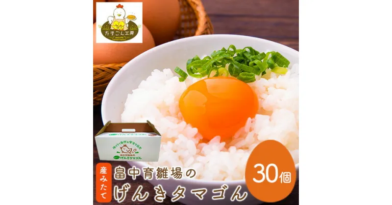 【ふるさと納税】畠中育雛場のげんきタマゴん 30個 《30日以内に出荷予定(土日祝除く)》福岡県 鞍手郡 小竹町 卵 送料無料 有限会社畠中育雛場