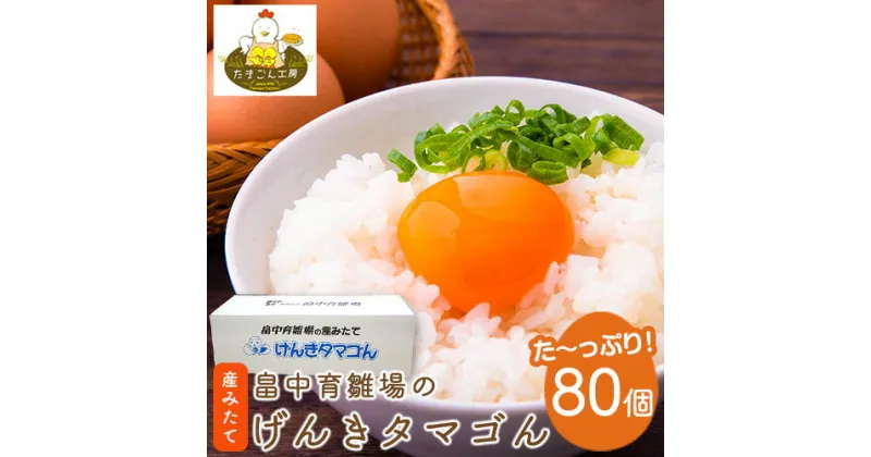 【ふるさと納税】畠中育雛場のげんきタマゴん 80個 《30日以内に出荷予定(土日祝除く)》福岡県 鞍手郡 小竹町 卵 送料無料 有限会社畠中育雛場