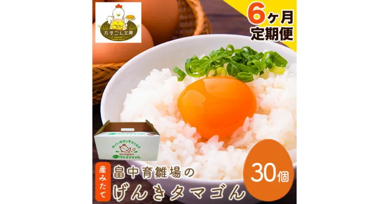 【ふるさと納税】【6ヶ月定期便】畠中育雛場のげんきタマゴん 30個 6回お届けで計180個！《お申込み月の翌月から出荷開始》福岡県 鞍手郡 小竹町 卵 送料無料 有限会社畠中育雛場