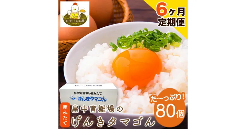 【ふるさと納税】【6ヶ月定期便】畠中育雛場のげんきタマゴん 80個 6回お届けで計480個！《お申込み月の翌月から出荷開始》福岡県 鞍手郡 小竹町 卵 送料無料 有限会社畠中育雛場