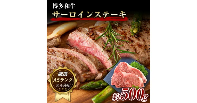 【ふるさと納税】博多和牛サーロインステーキセット 500g (250g×2枚)《30日以内に出荷予定(土日祝除く)》小竹町 博多和牛 株式会社MEAT PLUS 牛肉 サーロイン A5ランク のみ使用 厳選