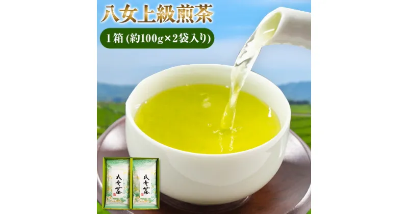 【ふるさと納税】八女上級煎茶 1箱 約100g×2袋入り 福岡県 鞍手郡 小竹町《30日以内に出荷予定(土日祝除く)》 送料無料