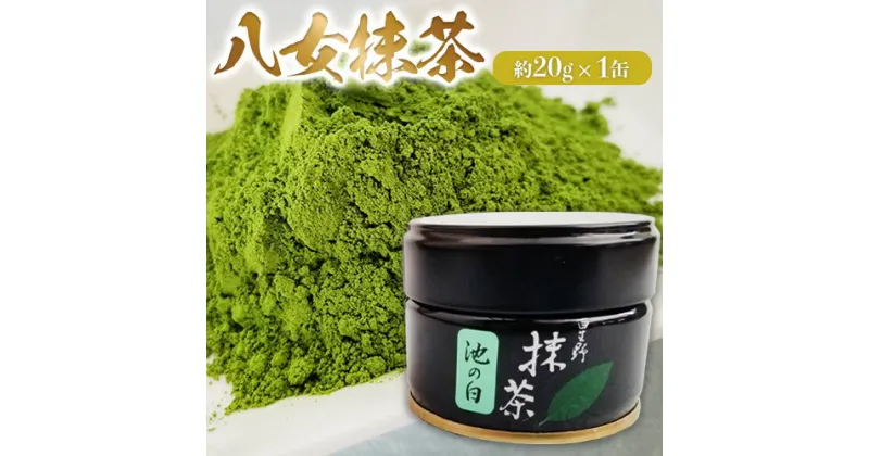 【ふるさと納税】八女抹茶(約20g×1缶) 福岡県 鞍手郡 小竹町《30日以内に出荷予定(土日祝除く)》 送料無料