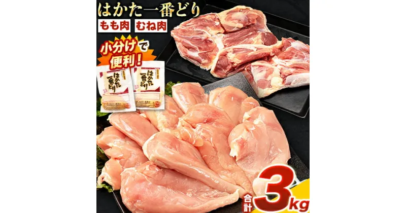 【ふるさと納税】はかた一番どり もも肉 むね肉 セット 3000g 3kg 1枚約250g×12パック《30日以内に出荷予定予定(土日祝除く)》 大容量 鶏肉 鳥肉 冷凍 送料無料 株式会社あらい