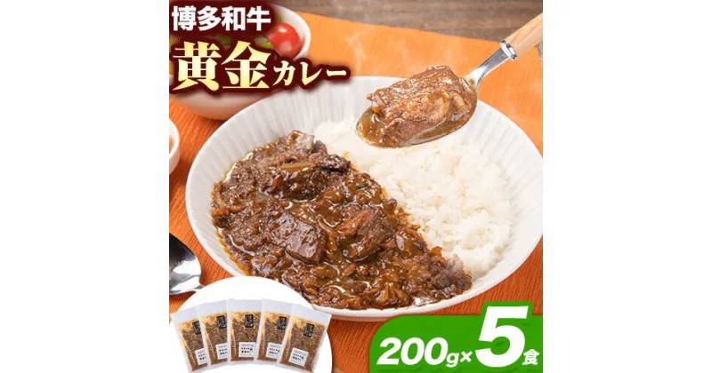 【ふるさと納税】博多和牛の黄金カレー 200g×5食 清柳食産《30日以内に出荷予定(土日祝除く)》九州産 牛 カレー 黄金カレー 博多和牛 送料無料 冷凍 鞍手郡 小竹町