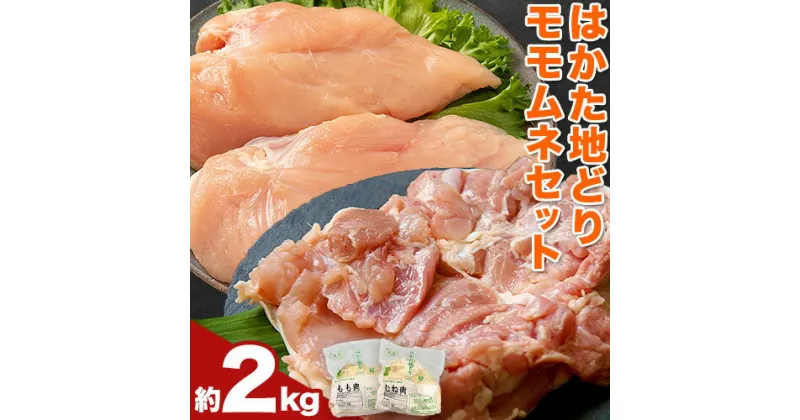 【ふるさと納税】鶏肉 はかた地どり モモムネセット もも肉 むね肉 2kg 《30日以内に出荷予定(土日祝除く)》 株式会社MEATPLUS 福岡県 鞍手郡 小竹町 地鶏 鶏肉 とり肉