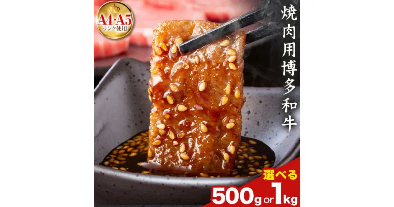 【ふるさと納税】訳あり 博多和牛 A5 A4 焼肉用 500g 1kg 株式会社MEAT PLUS《30日以内に出荷予定(土日祝除く)》福岡県 鞍手郡 小竹町 博多和牛 和牛 牛肉 肩ロース バラ カルビ 焼き肉 バーベキュー BBQ