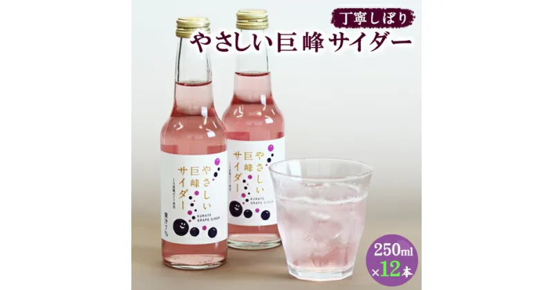 【ふるさと納税】巨峰サイダー 250ml×12本 福岡県 鞍手町 送料無料《30日以内に出荷予定(土日祝除く)》ぶどう 直鞍農業協同組合 営農センター フルーツ