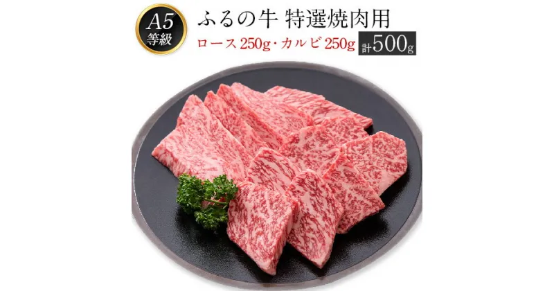 【ふるさと納税】ふるの牛（黒毛和牛）特選焼肉用 500g (ロース250g、カルビ250g) A5 ミシュラン掲載《30日以内に順次出荷(土日祝除く)》