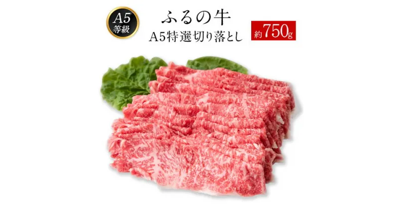 【ふるさと納税】ふるの牛（黒毛和牛）A5特選 切り落とし 750g 送料無料 A5 ミシュラン掲載《30日以内に順次出荷(土日祝除く)》