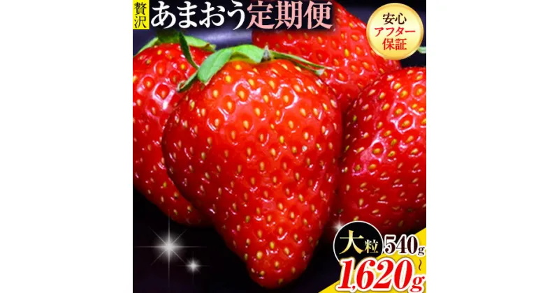 【ふるさと納税】【2ヶ月定期便】いちご あまおう 先行予約 いちご大量 540g 1080g 1620g ふるさと納税 フルーツ 苺 旬 訳あり 数量限定 ふるさと納税 不揃い 傷 4月 規格外 規格外果物 くだもの 果物 【着日指定不可】《2025年3月・4月頃出荷予定》