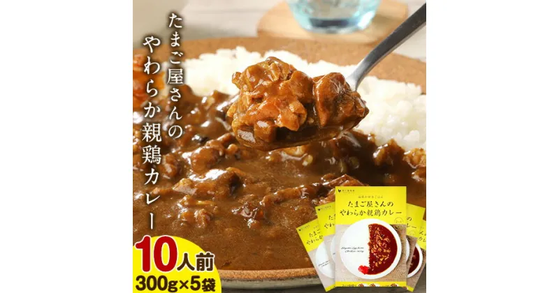 【ふるさと納税】たまご屋さんのやわらか親鶏カレー 10人前 300g×5袋 野上養鶏場 送料無料 《60日以内に順次出荷(土日祝除く)》 福岡県 鞍手郡 鞍手町 味宝卵 カレー