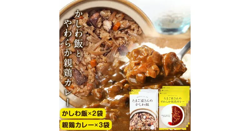 【ふるさと納税】たまご屋さんのかしわ飯とやわらか親鶏カレー 計5袋 300g×5袋 野上養鶏場 送料無料 《60日以内に順次出荷(土日祝除く)》 福岡県 鞍手郡 鞍手町 味宝卵 かしわ飯 カレー