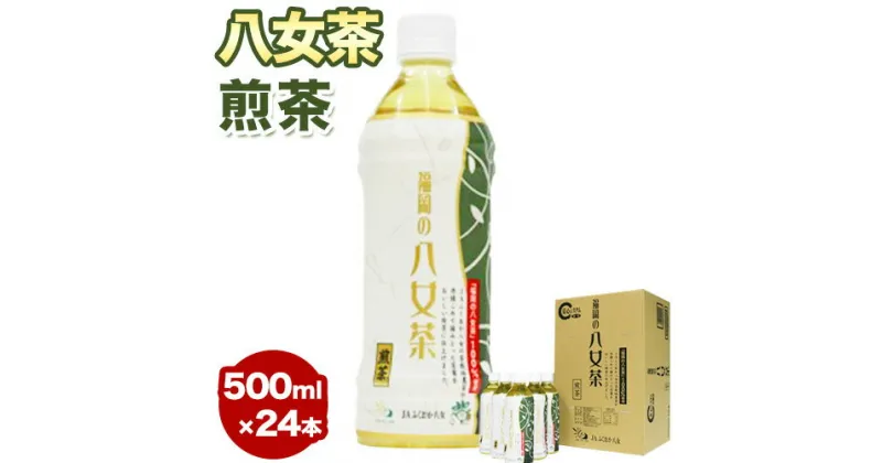 【ふるさと納税】八女茶 煎茶ペットボトル 500ml×24本 株式会社親和園《30日以内に順次出荷(土日祝除く)》福岡県 鞍手郡 鞍手町 お茶 緑茶 茶 八女茶 ペットボトル 送料無料