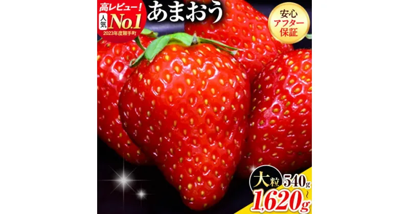 【ふるさと納税】いちご あまおう 先行予約 いちご大量 540g 1080g 1620g ふるさと納税 フルーツ 苺 旬 訳あり 数量限定 ふるさと納税 不揃い 傷 4月 規格外 規格外果物 くだもの 果物 【着日指定不可】《2025年3月中旬-4月末頃出荷予定》