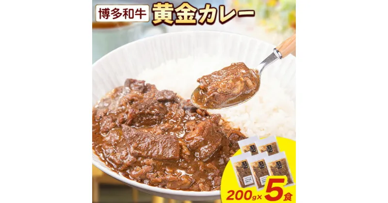 【ふるさと納税】博多和牛の黄金カレー 200g×5食 清柳食産《30日以内に順次出荷(土日祝除く)》九州産 牛 カレー 黄金カレー 博多和牛 送料無料 冷凍 鞍手町