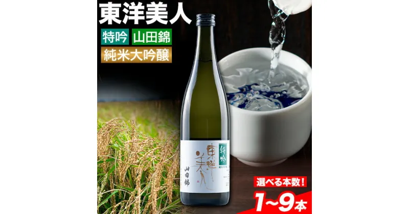 【ふるさと納税】日本酒 新酒 東洋美人 特吟 山田錦 純米大吟醸 選べる内容量 1~9本 1本あたり 720ml 福岡吟醸倶楽部株式会社《90日以内に発送予定(土日祝除く)》福岡県 鞍手郡 鞍手町 酒 熱燗 送料無料