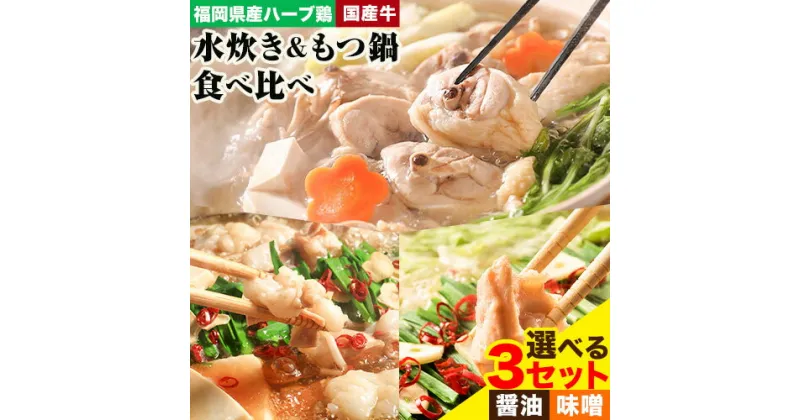 【ふるさと納税】福岡県産ハーブ鳥 水炊き 国産牛 もつ鍋 各2人前 合計4人前or6人前 選べる 醤油味 味噌味 株式会社マル五《30日以内に出荷予定(土日祝除く)》 福岡県 鞍手町 水炊き鍋 もつ鍋 もつ 鶏肉 水炊きセット もつ鍋セット 鍋パーティー パーティー 送料無料