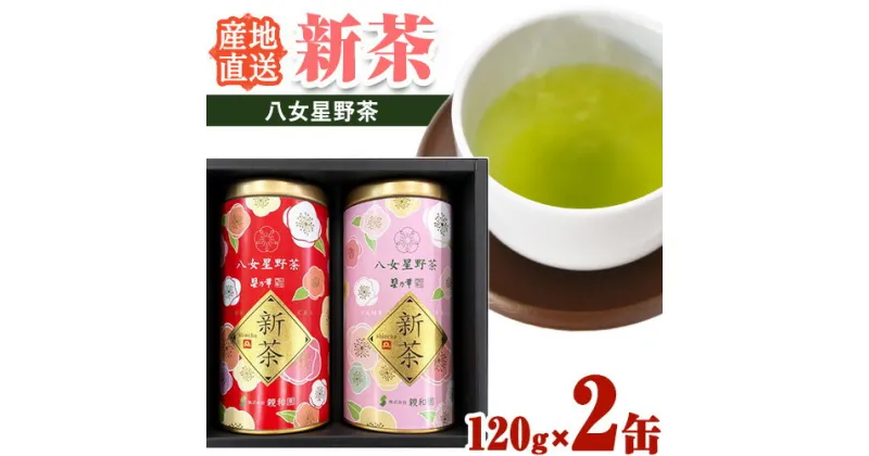 【ふるさと納税】新茶 八女星野茶 120g × 2缶 計240g 株式会社親和園 《30日以内に出荷予定(土日祝除く)》 福岡県 鞍手町 産地直送 新茶 旬 茶 お茶 緑茶 日本茶 贈答用 家庭用 送料無料