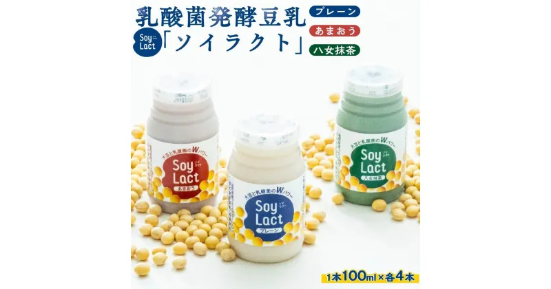 【ふるさと納税】乳酸菌醗酵豆乳「ソイラクト」100ml×4本×3種（プレーン・あまおう・八女抹茶） | 楽天ふるさと納税 豆乳 醗酵 乳酸菌 健康 ヘルシー 飲料 ソフトドリンク 人気 おすすめ 送料無料