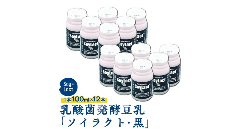 【ふるさと納税】乳酸菌醗酵豆乳 ソイラクト (黒) 100ml×12本 | 楽天ふるさと納税 豆乳 醗酵 乳酸菌 健康 ヘルシー 飲料 ソフトドリンク 人気 おすすめ 送料無料