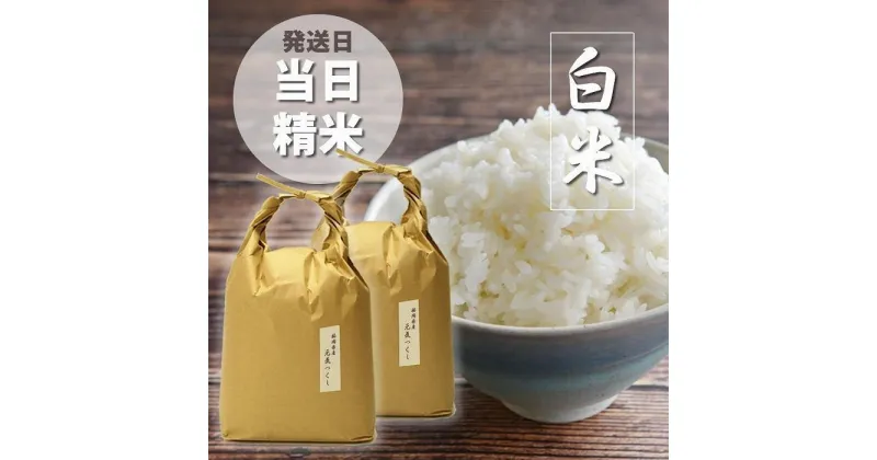 【ふるさと納税】＜発送日当日精米＞福岡県産【特A】評価のお米「元気つくし」白米 10kg（5kg×2袋） | 楽天ふるさと納税 米 お米 こめ 白米 ブランド米 ごはん ご飯 元気つくし 10kg おにぎり お弁当 食品 福岡県産 国産 送料無料