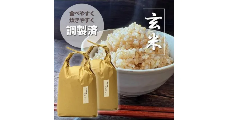 【ふるさと納税】福岡県産【特A】評価のお米「元気つくし」玄米 10kg（5kg×2袋） | 楽天ふるさと納税 米 お米 こめ 玄米 ブランド米 ごはん ご飯 元気つくし 10kg おにぎり お弁当 食品 福岡県産 国産 送料無料