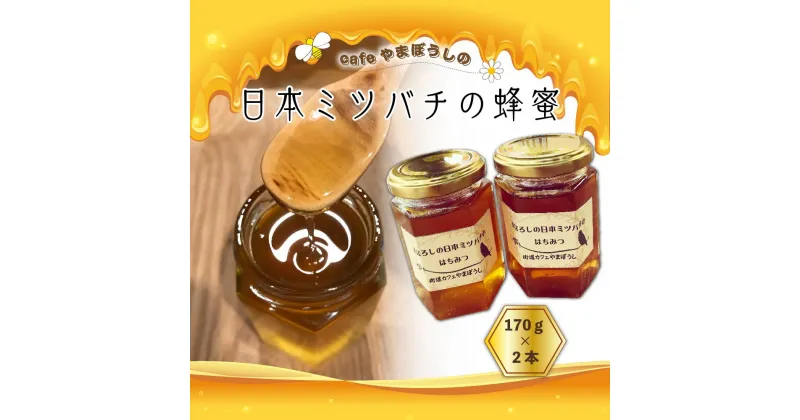 【ふるさと納税】cafeやまぼうしの日本ミツバチの蜂蜜　170g×2本 | ハニー 蜂蜜 食品 人気 おすすめ 送料無料