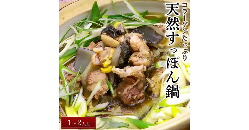 【ふるさと納税】天然すっぽん鍋【1～2人前】 | すっぽん スッポン 鼈 肉 鍋 なべ コラーゲン お取り寄せ 取寄せ 天然 美容 健康 免疫 スープ 道の駅 食品 人気 おすすめ 送料無料