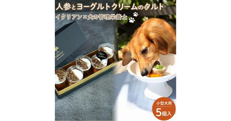 【ふるさと納税】ペットフード(犬のおやつ)　人参とヨーグルトクリームのタルト　5個入り | ペット 犬 ドッグフード ドッグ いぬ 小型犬 愛犬 愛犬家 ケーキ タルト おやつ 手作り 栄養 犬用 福岡県 筑前町 ふるさと納税 送料無料