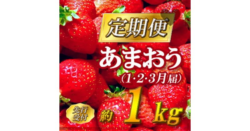 【ふるさと納税】 先行 予約 福岡県産 あまおう 定期便 3回 お届け 1月 2月 3月 いちご 2G3