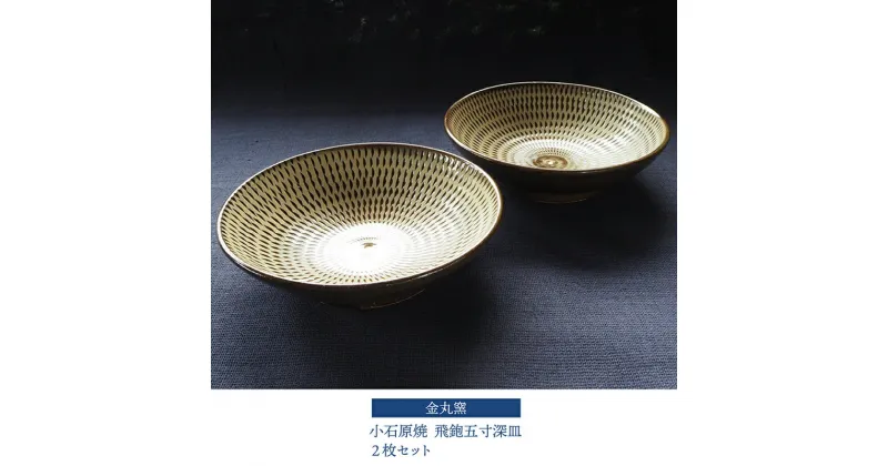 【ふるさと納税】小石原焼 飛鉋五寸深皿 2枚セット【金丸窯】直径 約15cm