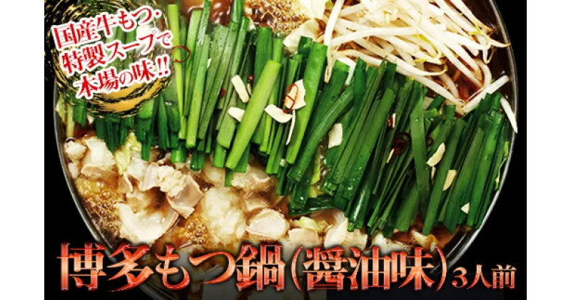 【ふるさと納税】ギフト用 博多もつ鍋（醤油味）3人前