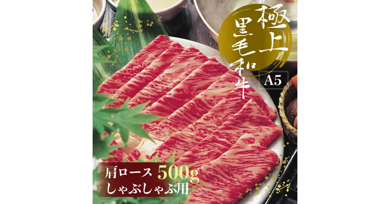 【ふるさと納税】 博多 黒毛 和牛 肩 ロース しゃぶしゃぶ 用 500g 黒毛和牛 牛 肩ロース 福岡県 福岡 東峰村 2V10-S