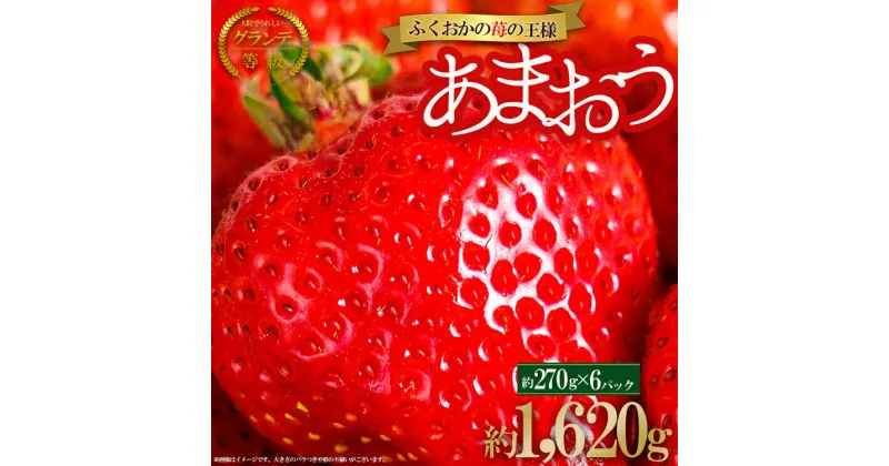 【ふるさと納税】【福岡県産 あまおう】 訳あり グランデ 約270 g× 6 P いちご イチゴ 苺 博多 デザート 果物 くだもの フルーツ ジャム にも ケーキ にも 先行予約 数量限定 福岡 2VB6