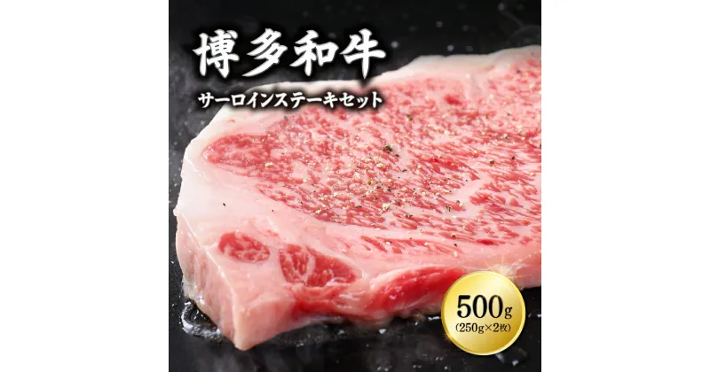 【ふるさと納税】博多和牛サーロインステーキセット　500g（250g×2枚） 3G11-S1