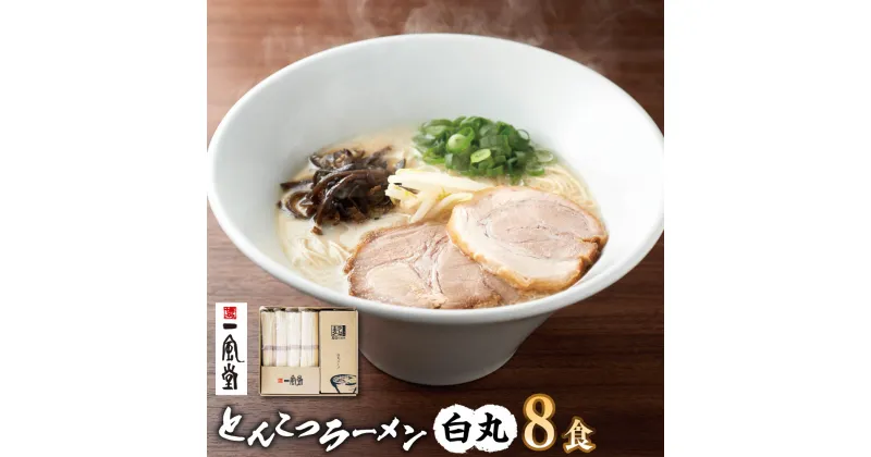 【ふるさと納税】ラー麦使用 一風堂 とんこつラーメン 白丸 8食 豚骨 ラーメン 博多ラーメン 福岡県 お取り寄せグルメ ご当地ラーメン 【2023年4月下旬発送開始】 送料無料