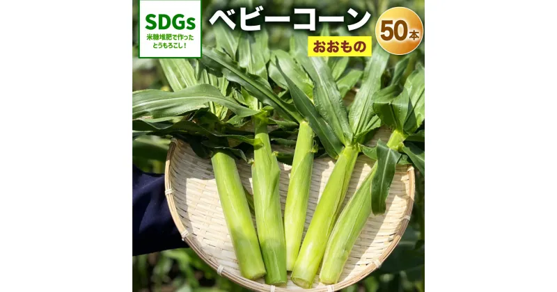 【ふるさと納税】【先行予約】福岡県産 ベビーコーン 50本 とうもろこし ヤングコーン おおもの 夏 野菜 旬 糖度20度 プレミアムコーン 産地直送 送料無料 【2025年5月上旬～6月下旬発送予定】