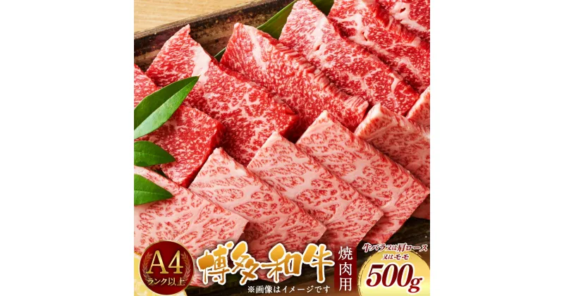 【ふるさと納税】博多和牛 焼肉用 500g A4以上 福岡県産 九州産 国産 黒毛和牛 牛肉 和牛 BBQ バーベキュー お肉 お取り寄せ グルメ 冷凍 送料無料