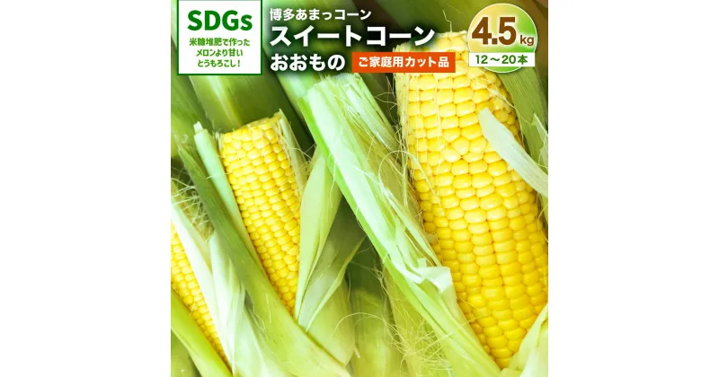 【ふるさと納税】【先行予約】 ご家庭用 カット品 福岡県産 スイートコーン 博多あまっコーン とうもろこし おおもの 12本～20本 合計 4.5kg 夏 野菜 旬 糖度20度 プレミアムコーン 産地直送 送料無料 【2025年6月上旬～7月下旬発送予定】