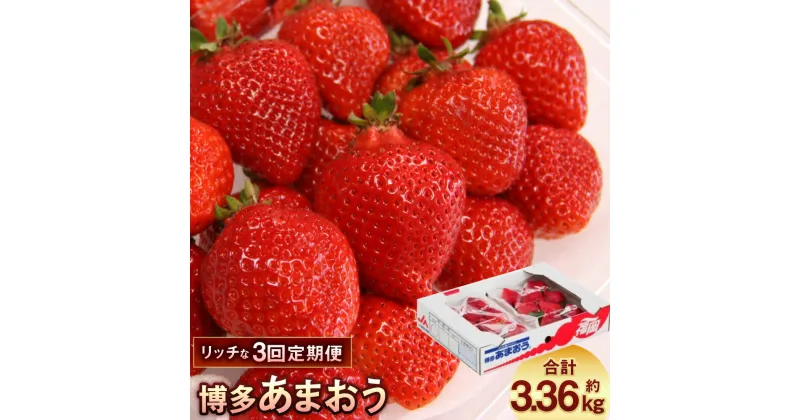 【ふるさと納税】【定期便】博多あまおう リッチな3回定期便 計約3.36kg 計12パック あまおう いちご イチゴ 苺 ベリー 果物 くだもの フルーツ 冷蔵 国産 九州 福岡県 太刀洗町 送料無料【2024年12月上旬～2025年2月下旬発送予定】